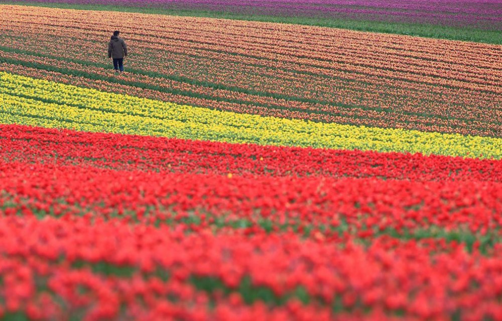 The spring riot of the Earth