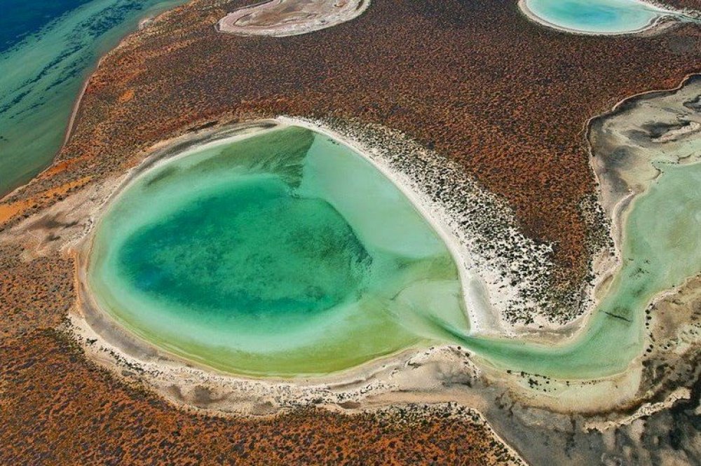 Гіпсові озера birridas в затоці Шарк