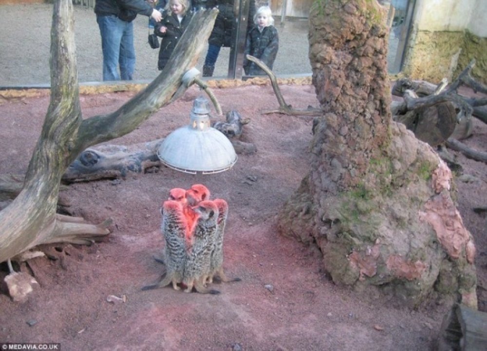 The best photos of the month