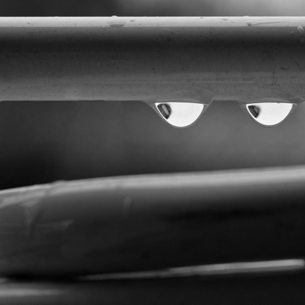 The best photos of the month