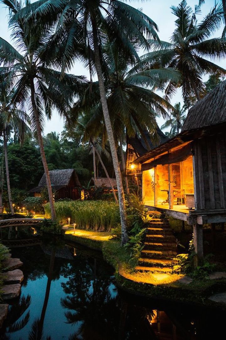 A delightful room of Udang House with undersea wonders