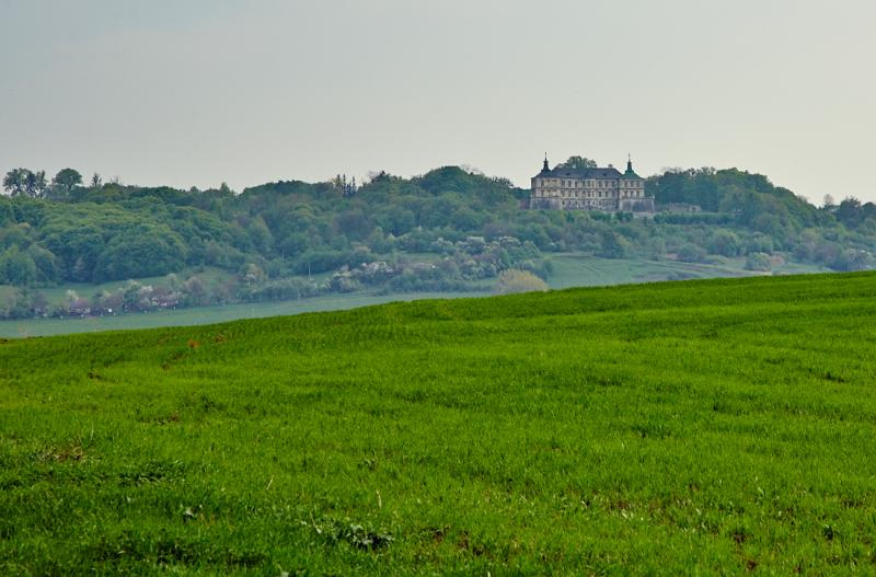 Підгорецький замок