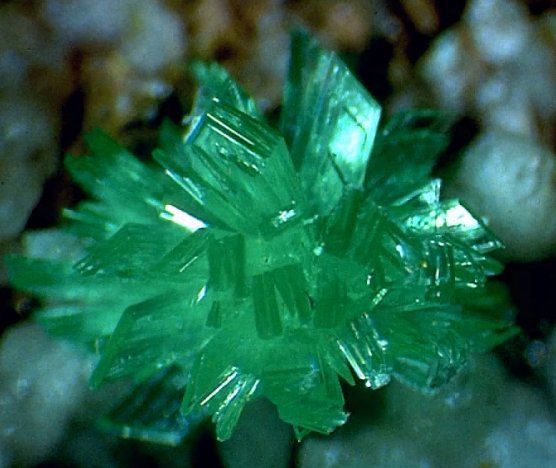 Минералогический музей имени Евгения Лазаренко Минералогический музей имени Евгения Лазаренко