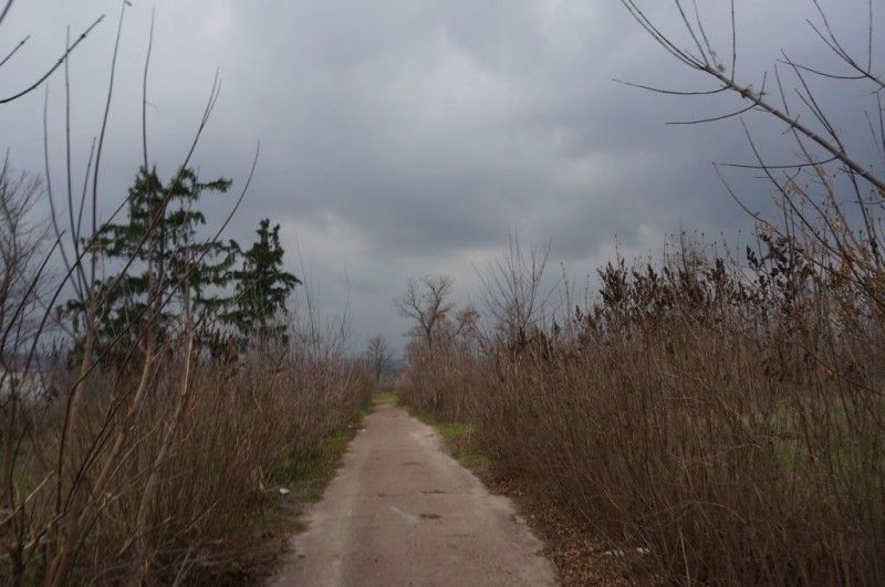 Городище Василів