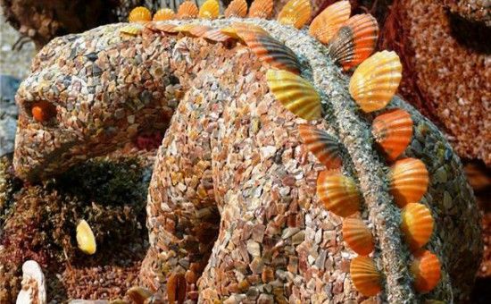 Museum Sea Curiosities