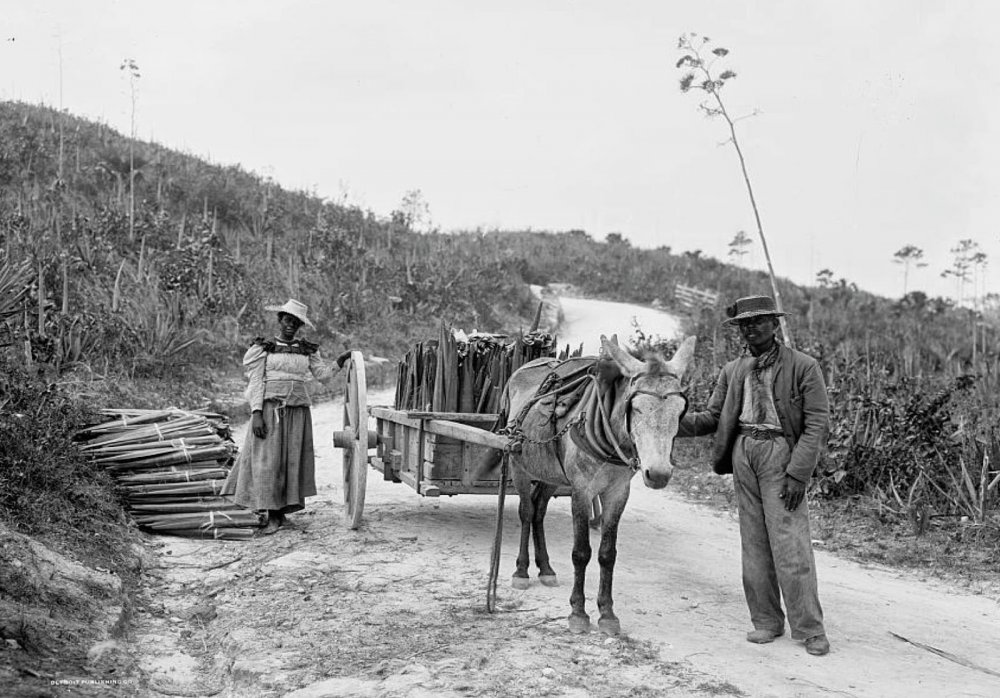 Транспорт США: до эры автомобилей