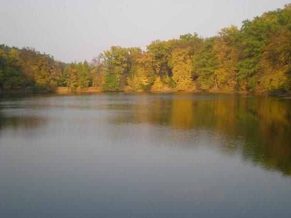 Ландшафтний дендропарк, Тростянець