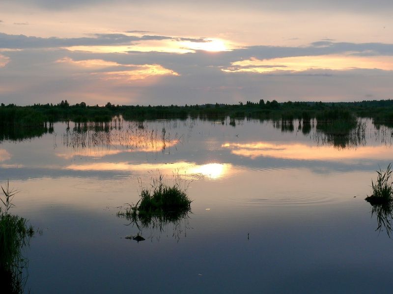 Ландшафтний заказник «Замглай»