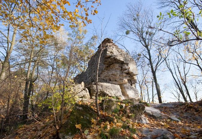 Góra «Wyżoki Zamek» (Zamkovaya gora)