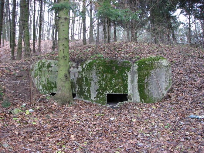 Гульская мина,  Гульск