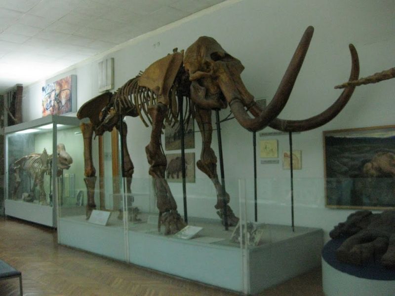 Национальный научно-природоведческий музей НАН Украины