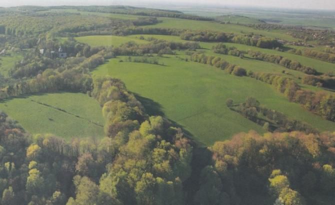 Пліснеськ городище Плиснеское городище