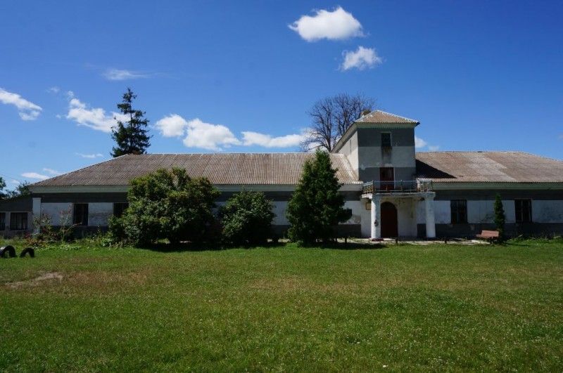 Палац Крашевського, Киселі