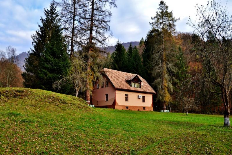 Museum of Nature. The beginning of the ecotourism route On Falconry Bird