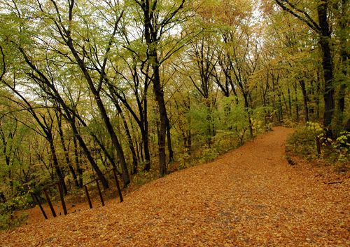 The Gaidamak Yar Gulch The Gaidamatsky Yard
