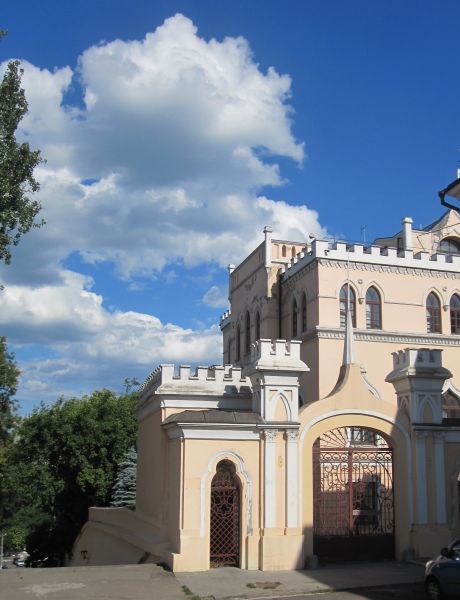 Дворец Витта Дворец Витта