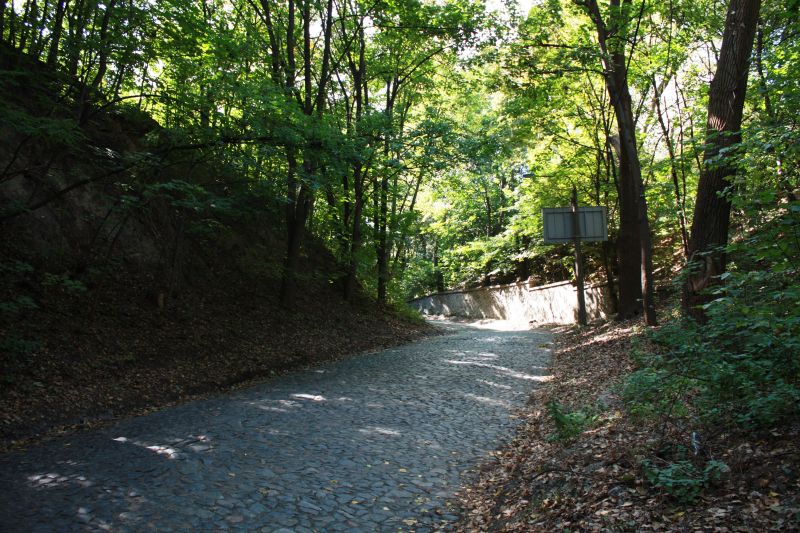 Smorodinsky Descent Khrushchev Road