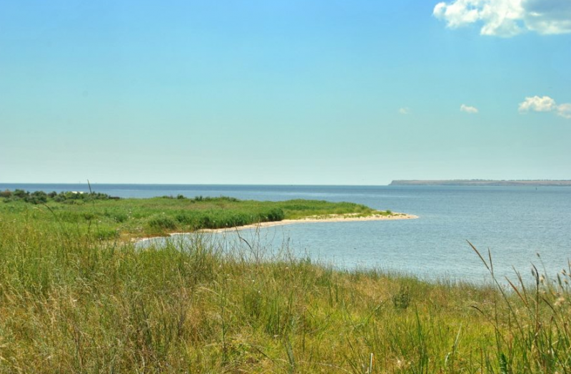 Bugsky Liman Bugsky Liman