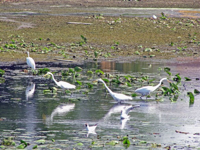 Starokonstantinovskaya embankment Староконстантиновская набережная