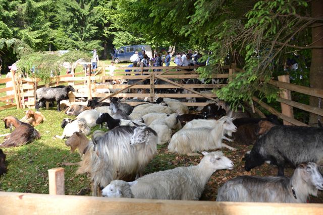 Национальный природный парк Синевир Национальный природный парк Синевир