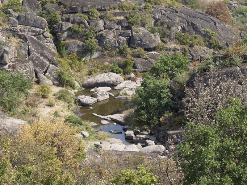 Трикратський ліс Трикратський ліс