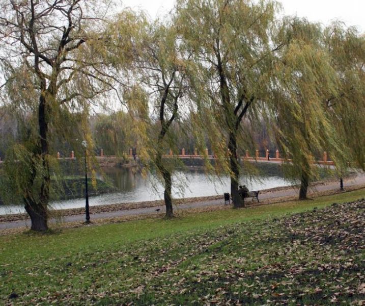 Парк «Отрадный»