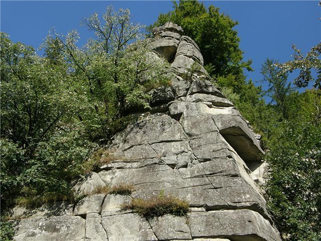 Rock Kamenka Bogachka Rock Stone Bogachka is located not far from the confluence of the Cheremosh and Putily Rivers near the village of Ust-Putil in the Chernivtsi region. Looking at this unique stone pile of pyramid shape, whose height is thirty meters, once again admire the great power of nature that can create such a beautiful miracle of nature. The rock is named in different ways: the Petrified God, the Sworn or the Enchanted Rock. <p>Rock Kamenka Bogachka is located near the confluence of the Cheremosh and Putily rivers near the village of Ust-Putil in the Chernivtsi region. Looking at this unique stone pile of pyramid shape, <strong>whose height is thirty meters</strong>, once again admire the great power of nature that can create such a beautiful miracle of nature.</p><p><strong>The rock is named in different ways: the</strong>Petrified God, the Sworn, or the Enchanted Rock. There are several legends about the origin of the rock. According to one of them, in the old days there lived a rich and greedy landowner. One day a poor and hungry woman came to her with a request to give her a loaf of bread, but instead of eating she gave her a stone cobblestone. Struck by the greed of the landowner, the woman angrily said: And let you yourself be petrified! - and at the same instant the rich man turned into a rock.</p><p>Another name - the Bishop - was given by the Austrian colonists. The toothed peak of the rock reminded them of the episcopal crown.</p><p>Particularly <strong>beautiful is the rock in the summer</strong>, when the lush green surrounds the bizarre statue and makes it even more fabulous and attractive. It was at this time the greatest influx of tourists who want to see one of the wonders of nature.</p><p class=pimg><img src=/images/pages/2014_09/32b74cdb4712f74f4d43622cfa201cd8.jpg alt=Скала Каменная Богачка title=Rock of Stone Bogachka></p><p class=pimg><img src=/images/pages/2014_09/100a21514ed8dcabab12438d147bbed5.jpg alt=Скала Каменная Богачка title=Rock of Stone Bogachka></p>