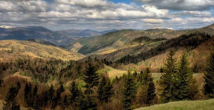 Національний природний парк« Сколівські Бескиди » Національний природний парк« Сколівські Бескиди »