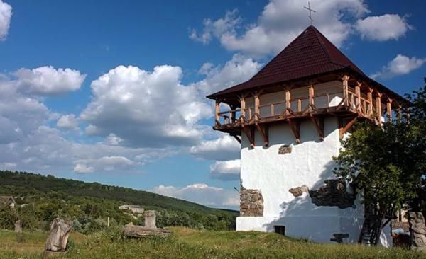 Бушанский замок, Буша