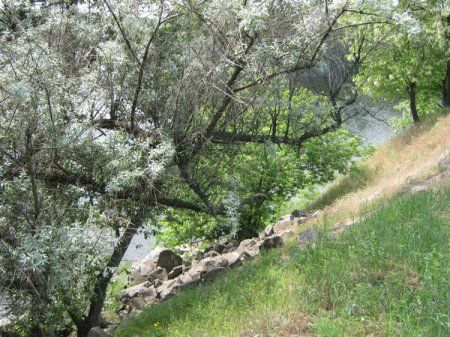 Урочище Сагайдачного