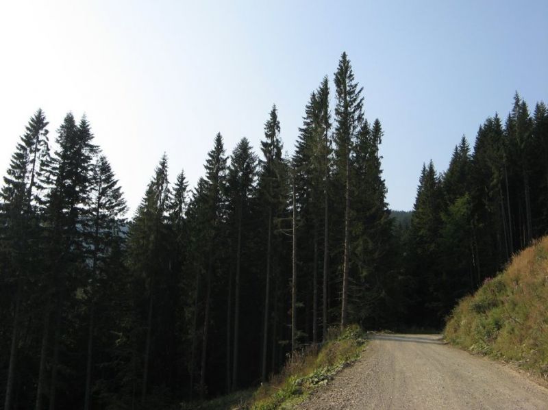 Перевал Шурдин