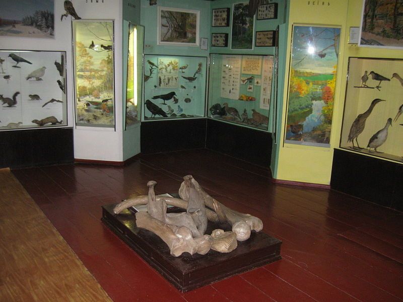 Конотопський міський краєзнавчий музей імені Олександра Лазаревського Конотопский городской краеведческий музей имени Александра Лазаревского