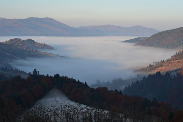 Национальный природный парк Синевир Национальный природный парк Синевир