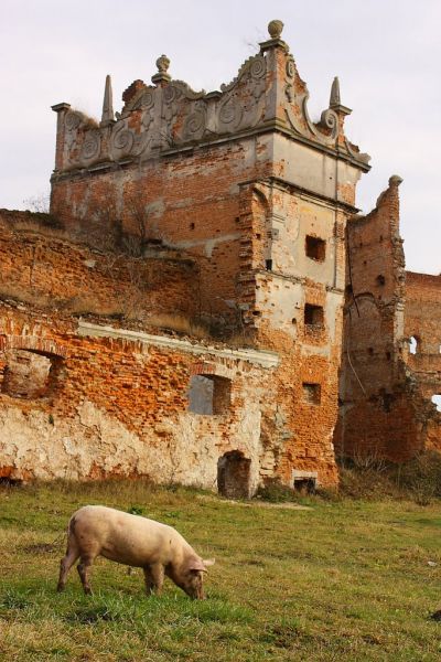 Замок Острозьких (Старе Село)