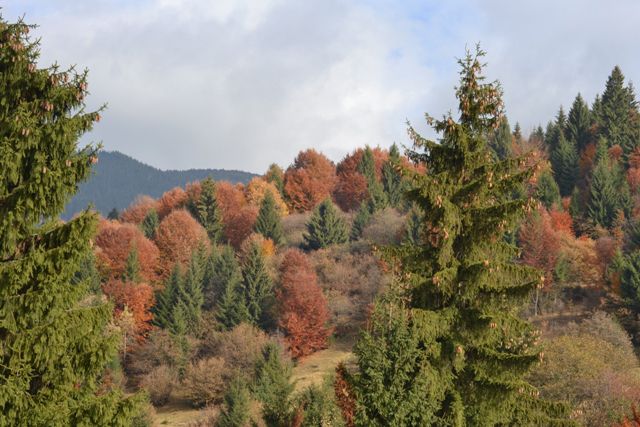 Национальный природный парк Синевир Национальный природный парк Синевир