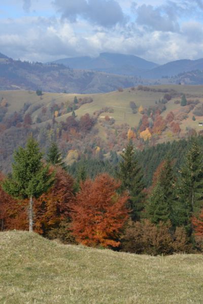 Национальный природный парк Синевир Национальный природный парк Синевир