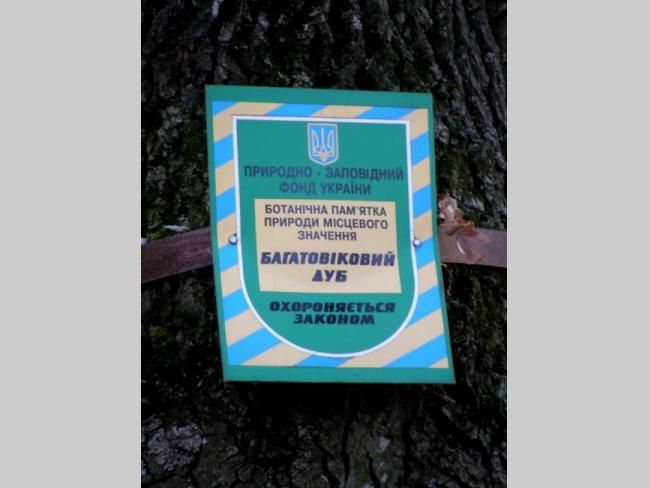 Царь-дуб, Рыхли