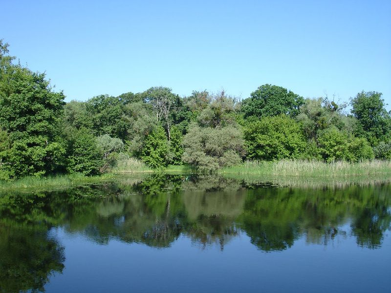 Национальный природный парк Гомольшанские леса, Задонецкое Национальный природный парк Гомольшанские леса, Задонецкое
