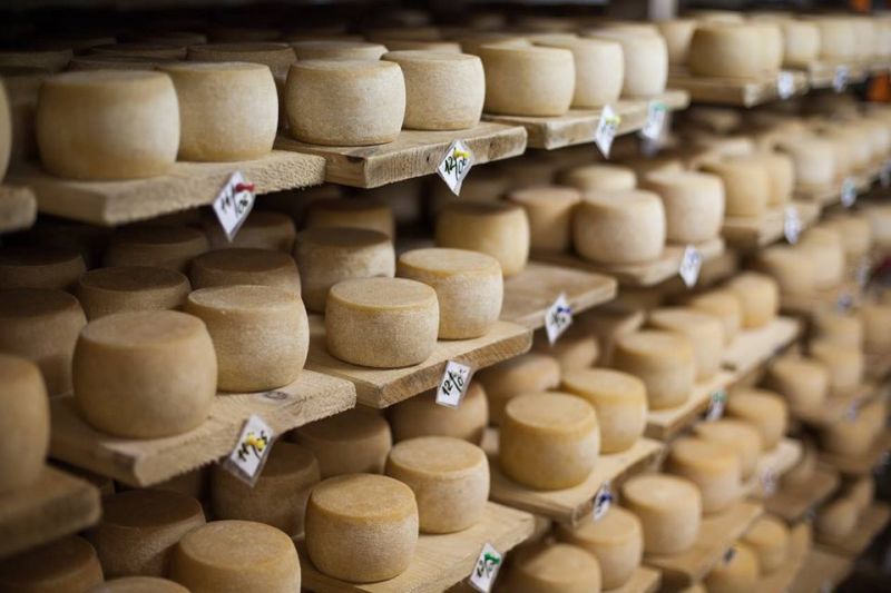 Селиська сироварня