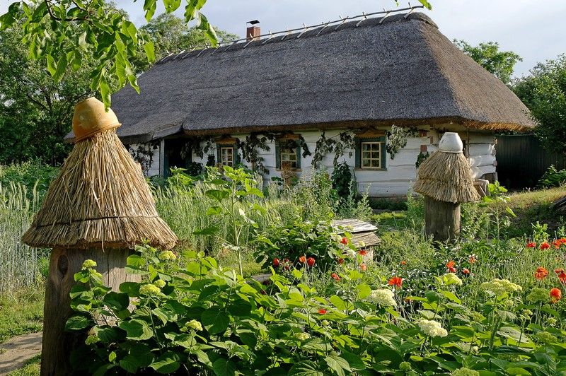 Этнографический музей «Хутор Савки»