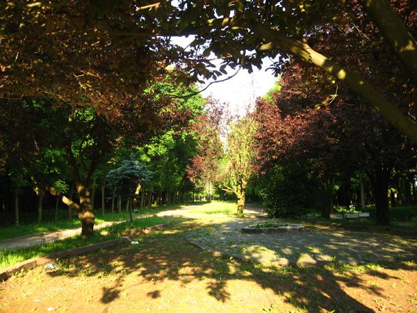 Скнилівський парк