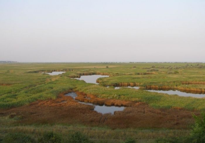 Сладкий лиман, Бердянск