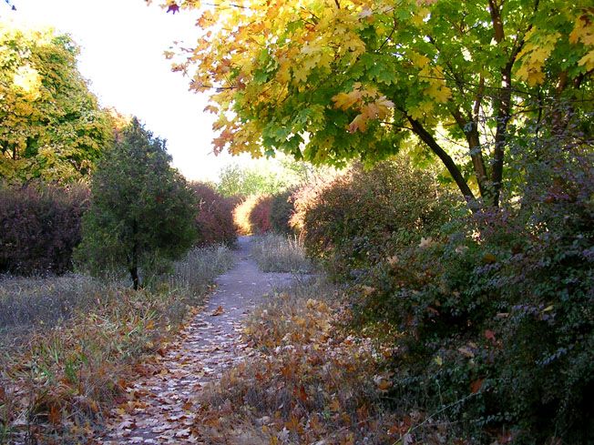 Национальный природный парк «Большой Луг» Национальный природный парк «Большой Луг»