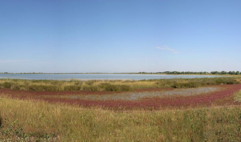 Кінбурнська коса Кинбурнская коса