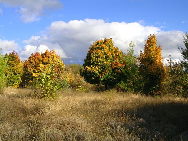 The National Natural Park Big Lug