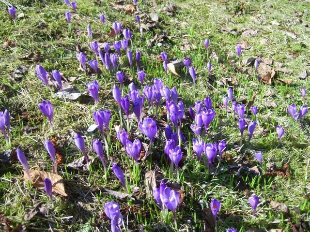 Национальный природный парк Синевир Национальный природный парк Синевир