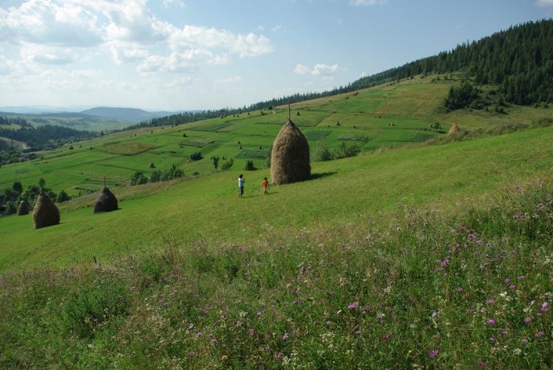 The tract of Tysovets Урочище Тысовец