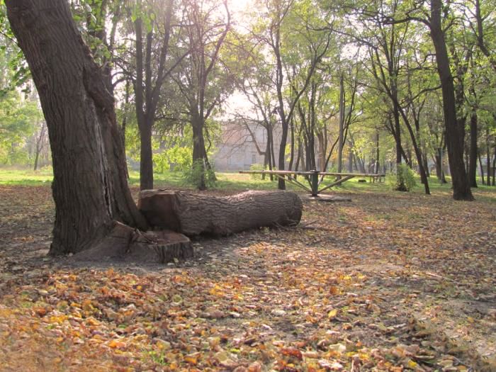 Park them. Alexander Pushkin