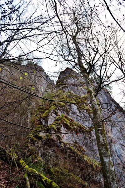 Falconry Bird. Ecotourism route to Falcon Bird Соколиное Бердо. Экотуристический маршрут На Соколиное Бердо