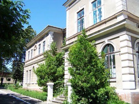 Палац Скибінецький, Глибока